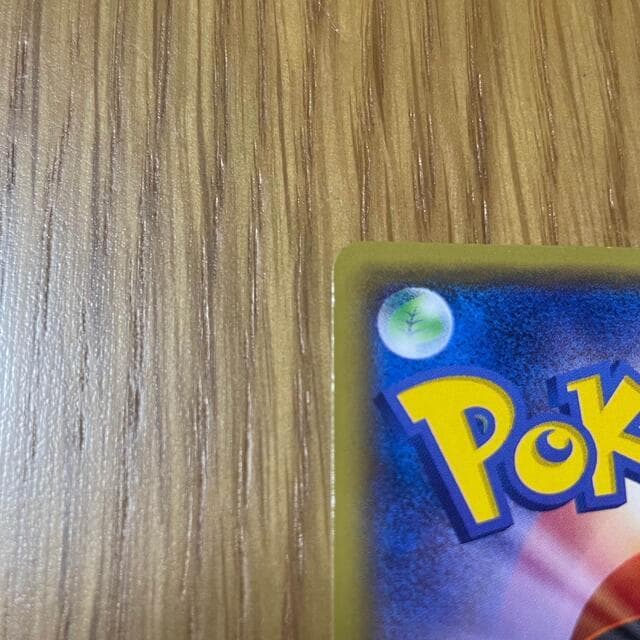 あったかピカチュウ 094XY-P