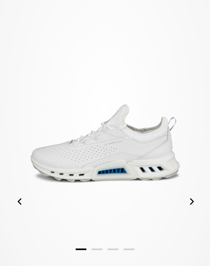 ECCO ecco ゴルフシューズ　Gore-Tex