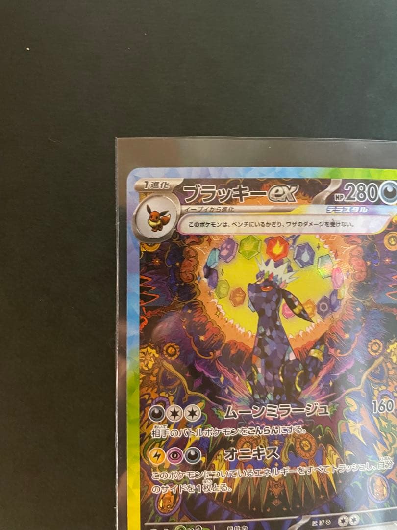 5*4様 ブラッキー SAR（テラスタルフェス）