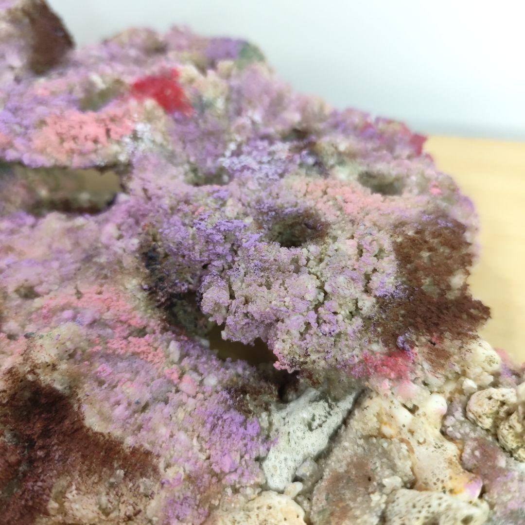 ✐プラグ穴付き 新品 人工ライブロック 60cm海水水槽用 レプリカ 安い1