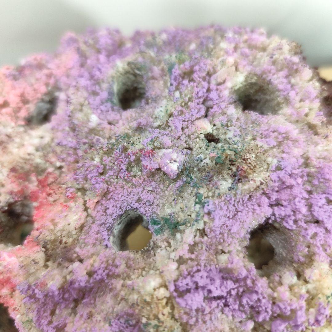 ✐プラグ穴付き 新品 人工ライブロック 60cm海水水槽用 レプリカ 安い1