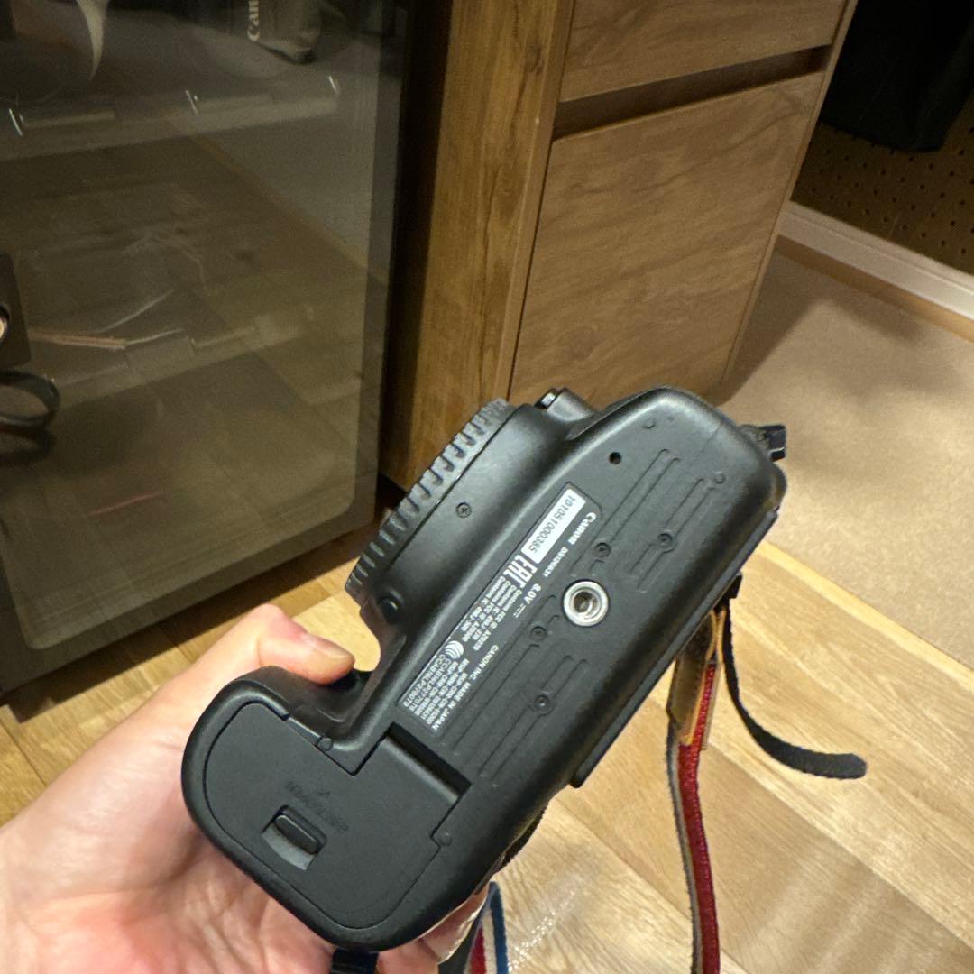 Canon EOS 6D MARK2 ボディ+バッテリーグリップ　おまけ有