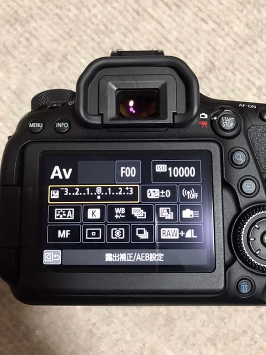 Canon EOS 6D MARK2 ボディ+バッテリーグリップ　おまけ有