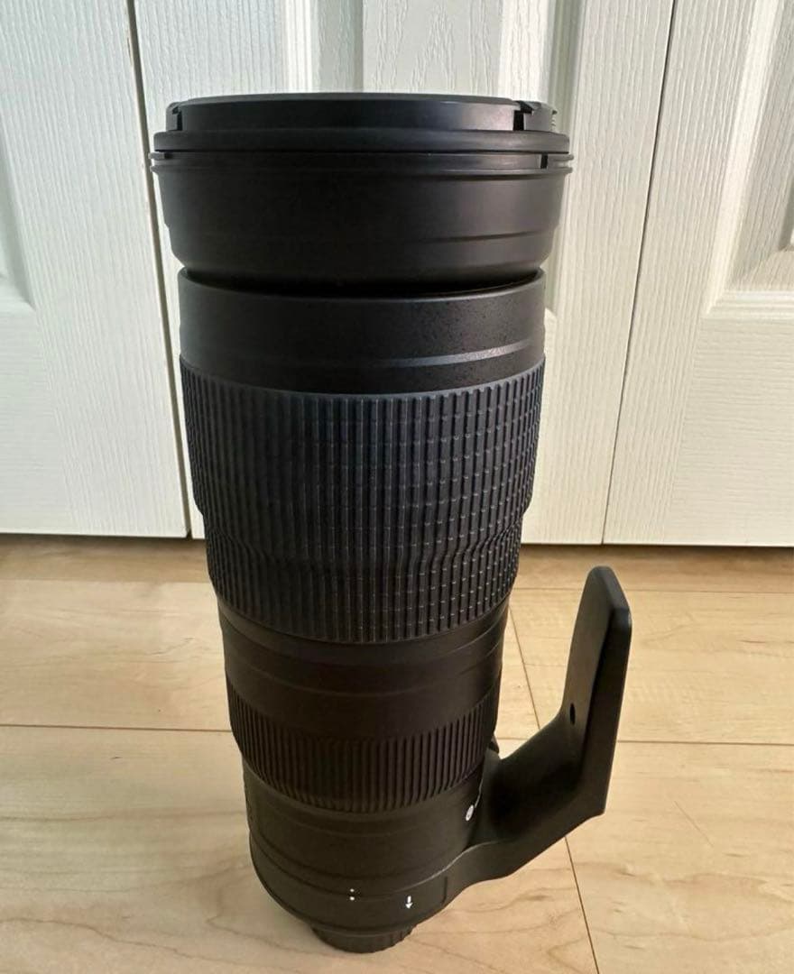 ニコン AF-S NIKKOR 200-500mm f/5.6E ED VR