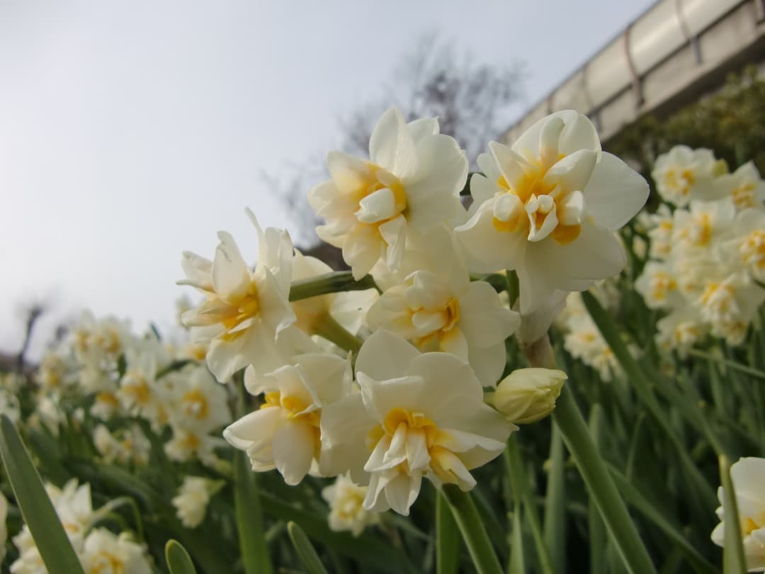 実写美⭕️【動作確認済】CASIO　EXILIM　ZOOM EX-Z450