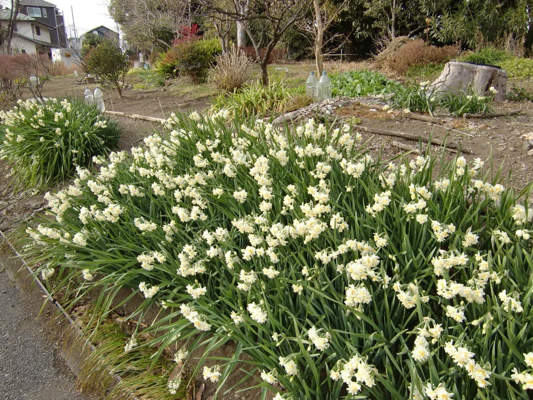 実写美⭕️【動作確認済】CASIO　EXILIM　ZOOM EX-Z450