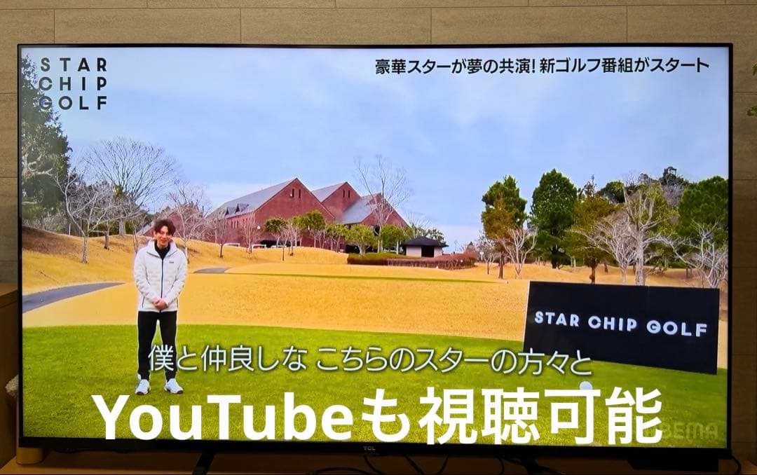 TCL 65P8S 65インチ液晶テレビ 2021年製