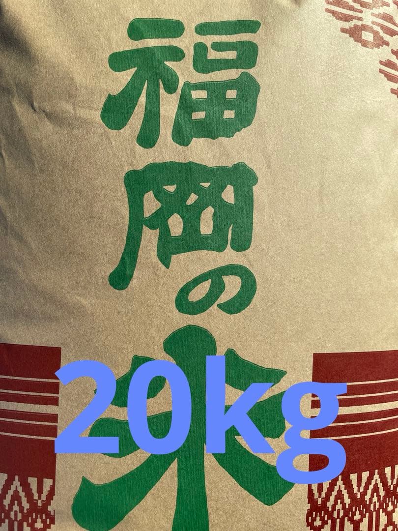 自家栽培　ぴかまる　玄米20kg 低アミロース米
