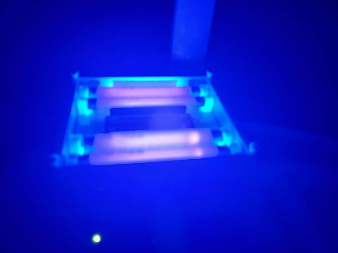 タカラベルモント