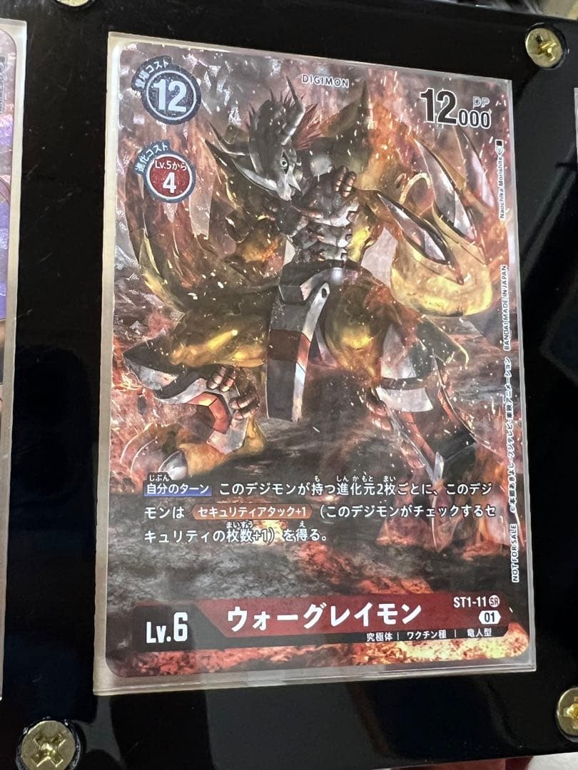 デジカ　ウォーグレイモン　チャレンジカップ