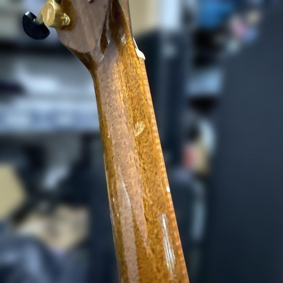 Morris SS-125Rアコースティックギター　ルシアーモデル