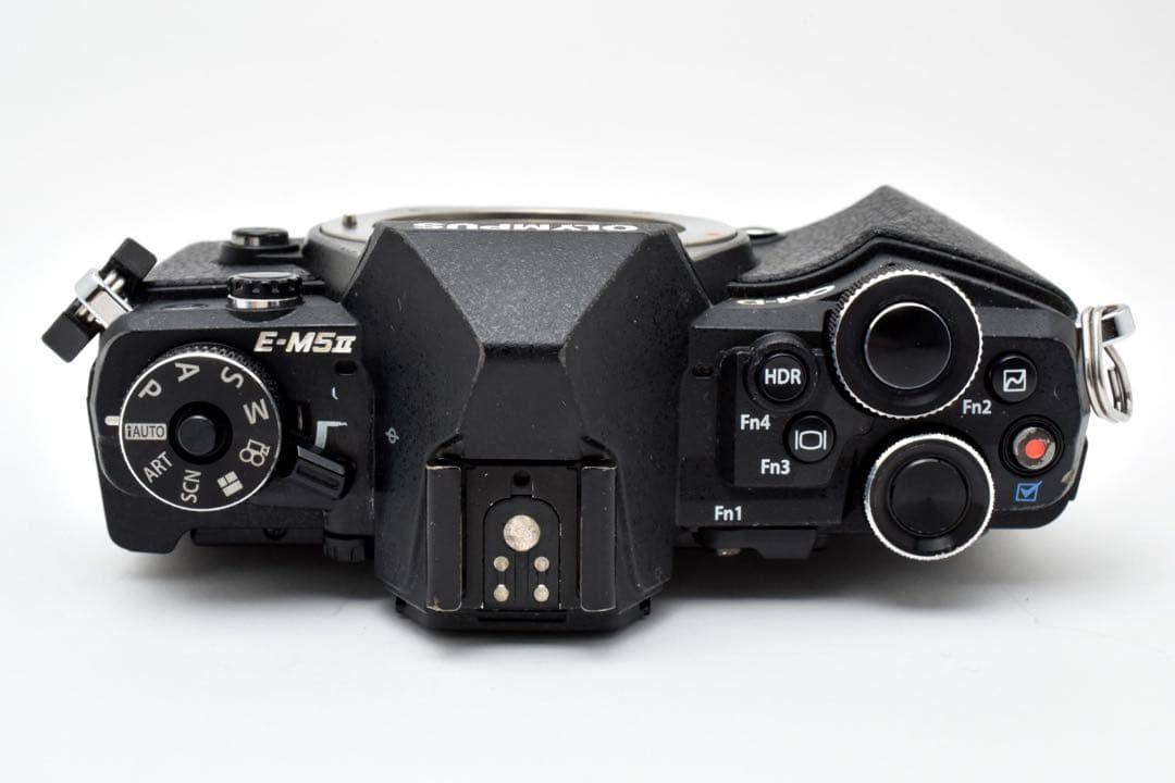 OLYMPUS OM-D E-M5 Mark II ミラーレス一眼カメラ
