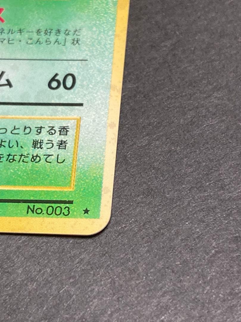 《大幅値下げ中》《美品》旧裏　フシギバナ ★ 第1弾拡張パック