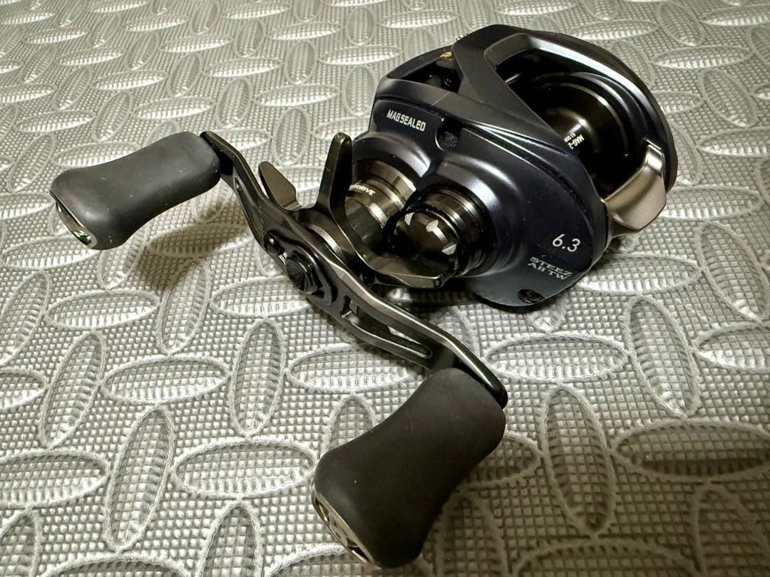 ダイワ スティーズ A II TW 1000L