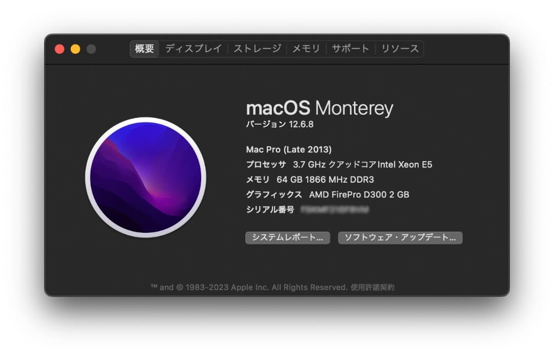 Apple Mac Pro (Late 2013) 64GB｜SSD250GB