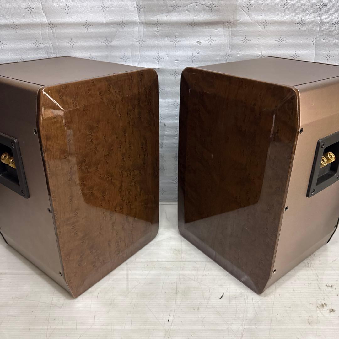 BOSE ADVANCED SOUND SYSTEM 125 ペア スピーカー