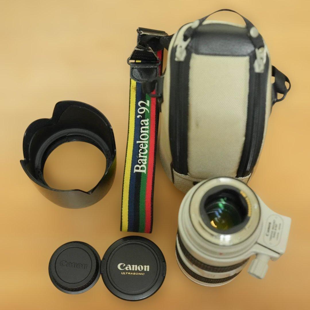 Canon EF 70-200mm f/2.8L IS 望遠ズームレンズ