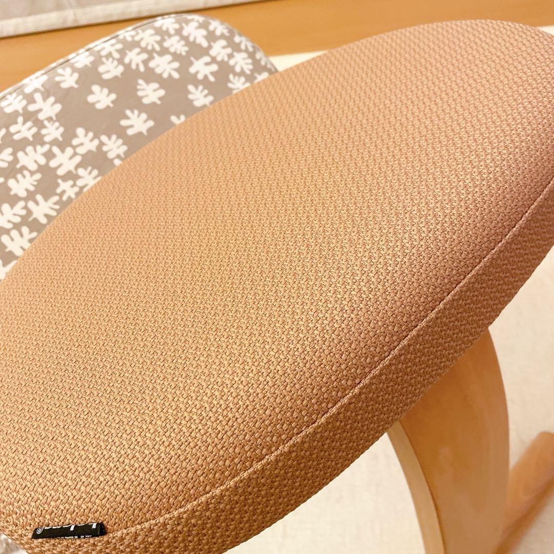 バランスイージー カバー付き Lager ラガーサカモトハウス バランスチェア