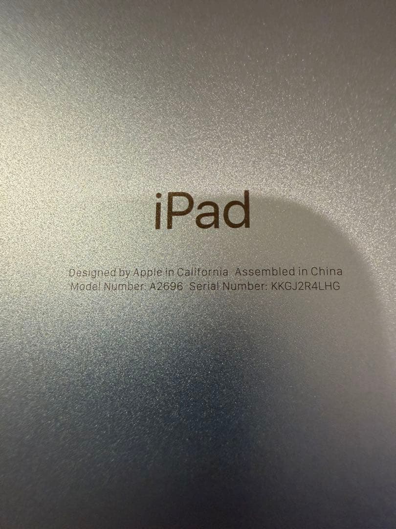 iPad （第10世代）Wi-Fiモデル　ブルー本体