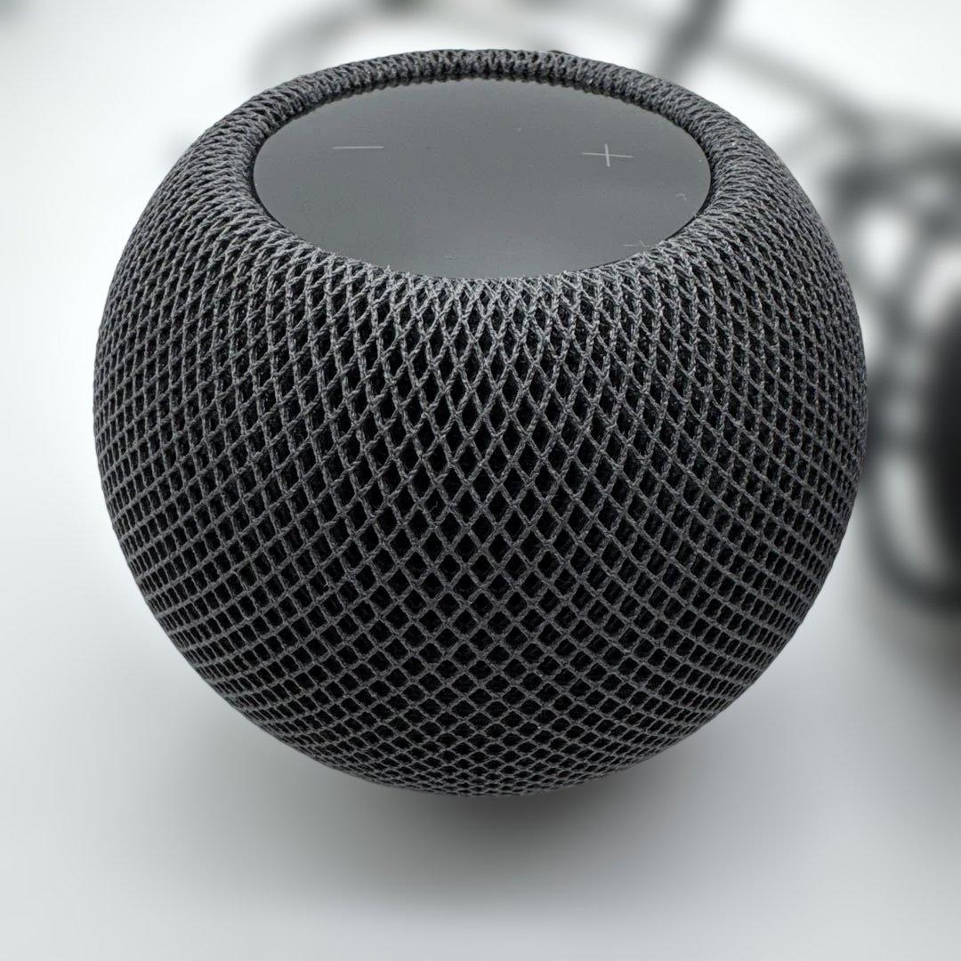 Apple Pod mini 2台セット