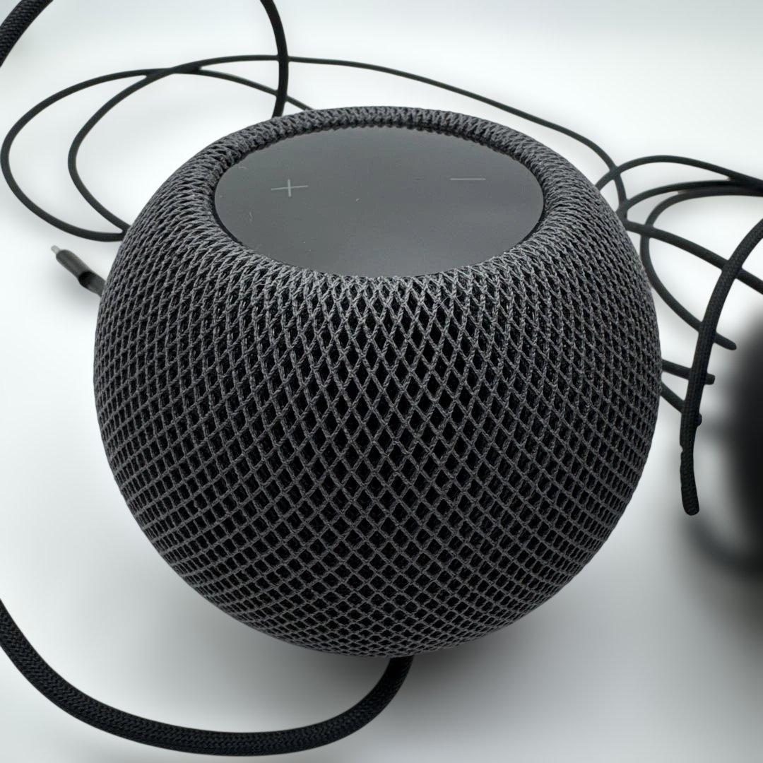 Apple Pod mini 2台セット