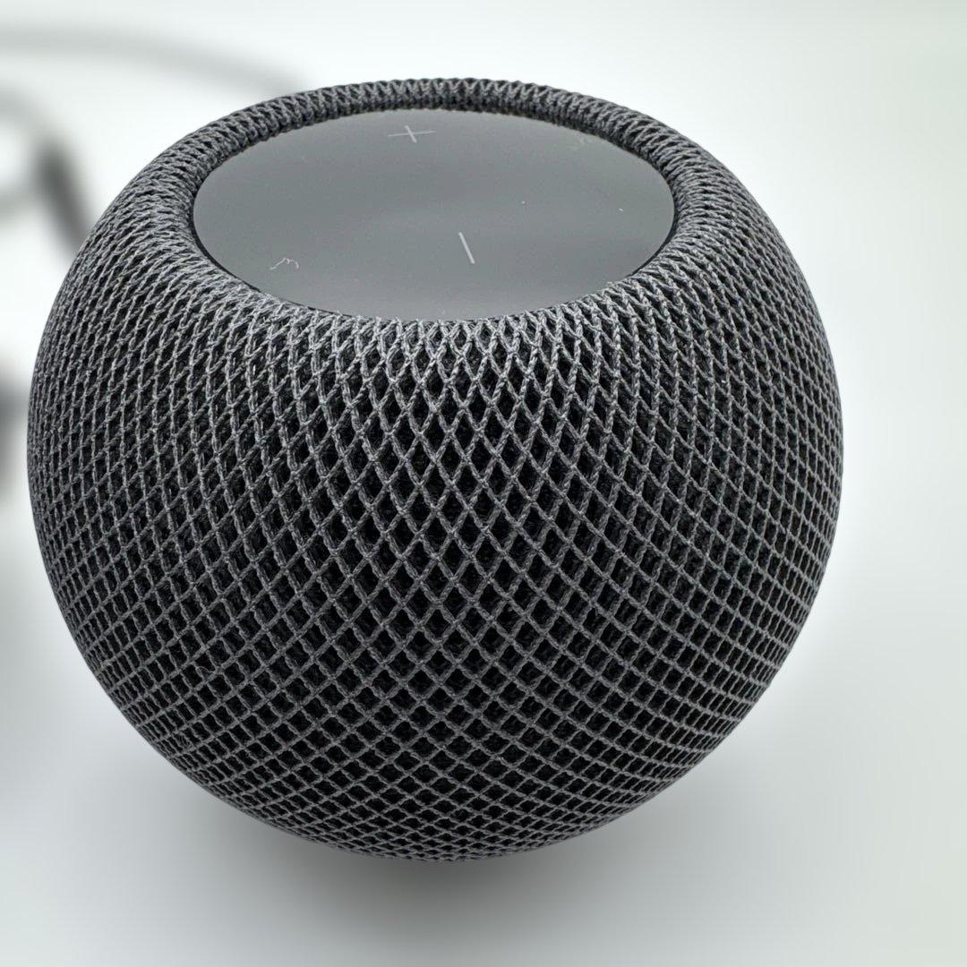 Apple Pod mini 2台セット