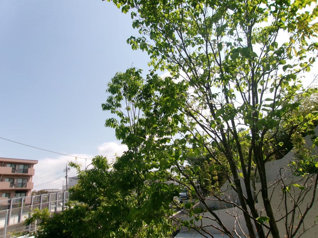 長ねぎマンページ