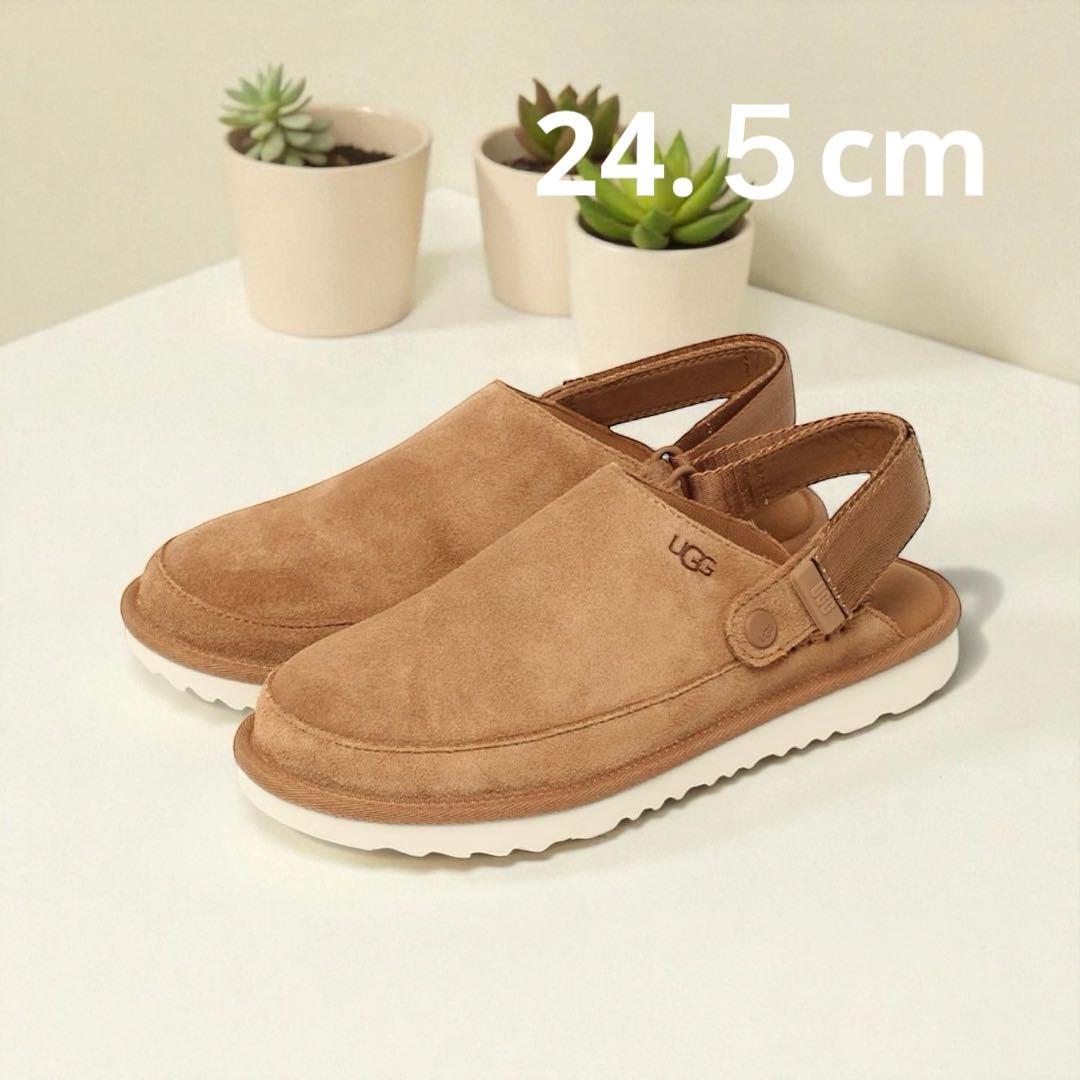 新品未使用　UGG アグ ゴールデンスター クロッグ チェストナッツ 24.5