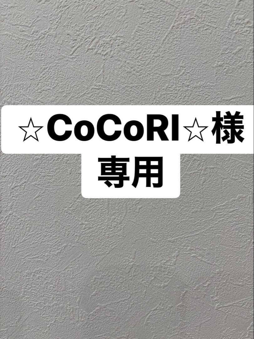 専用ページになります。