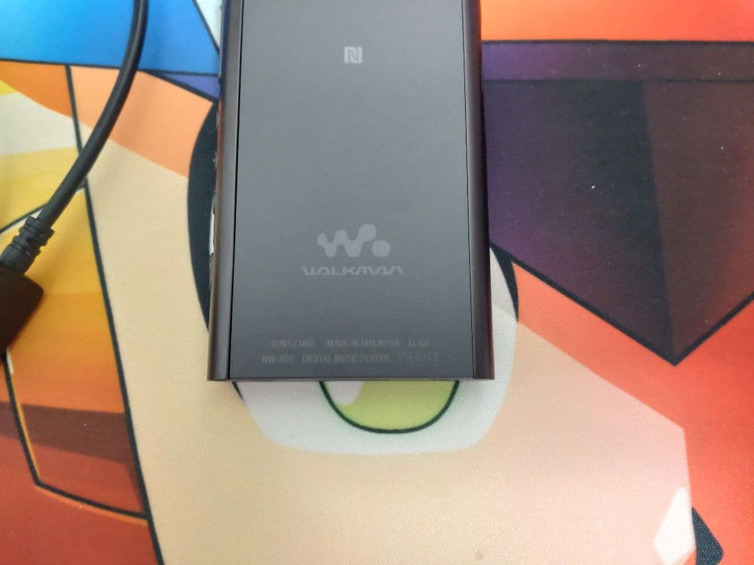 【中古】【箱無し】SONY ウォークマン NW-A55