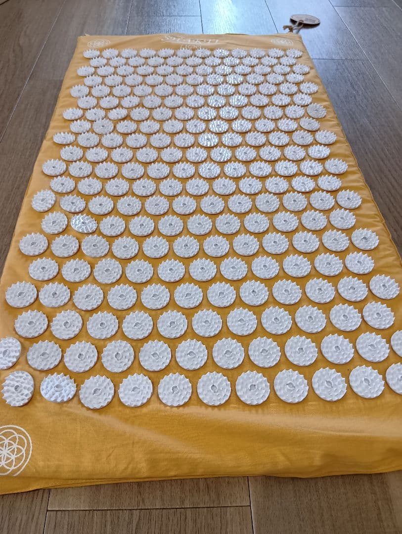 【正規品】シャクティマット（right）