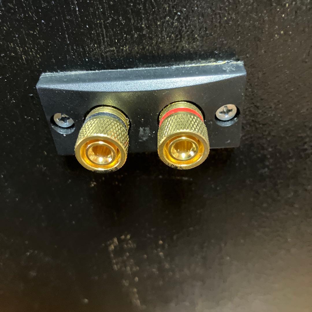 バックロードホーン