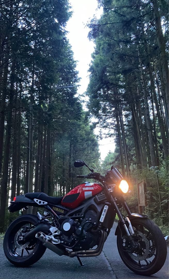 xsr900 タンクカバー　ビビットレッド