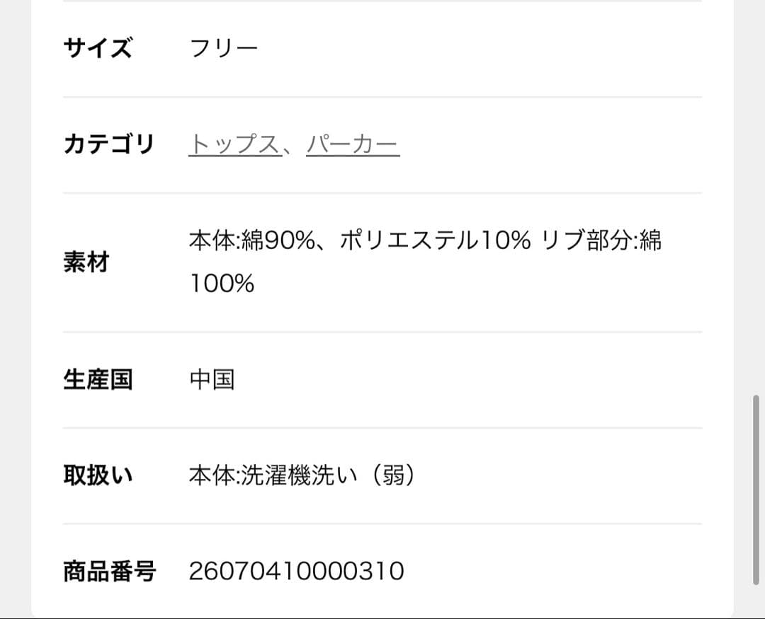 トップス CHAMPION/JOURNAL STANDARD/HOLIDAY HOODIE