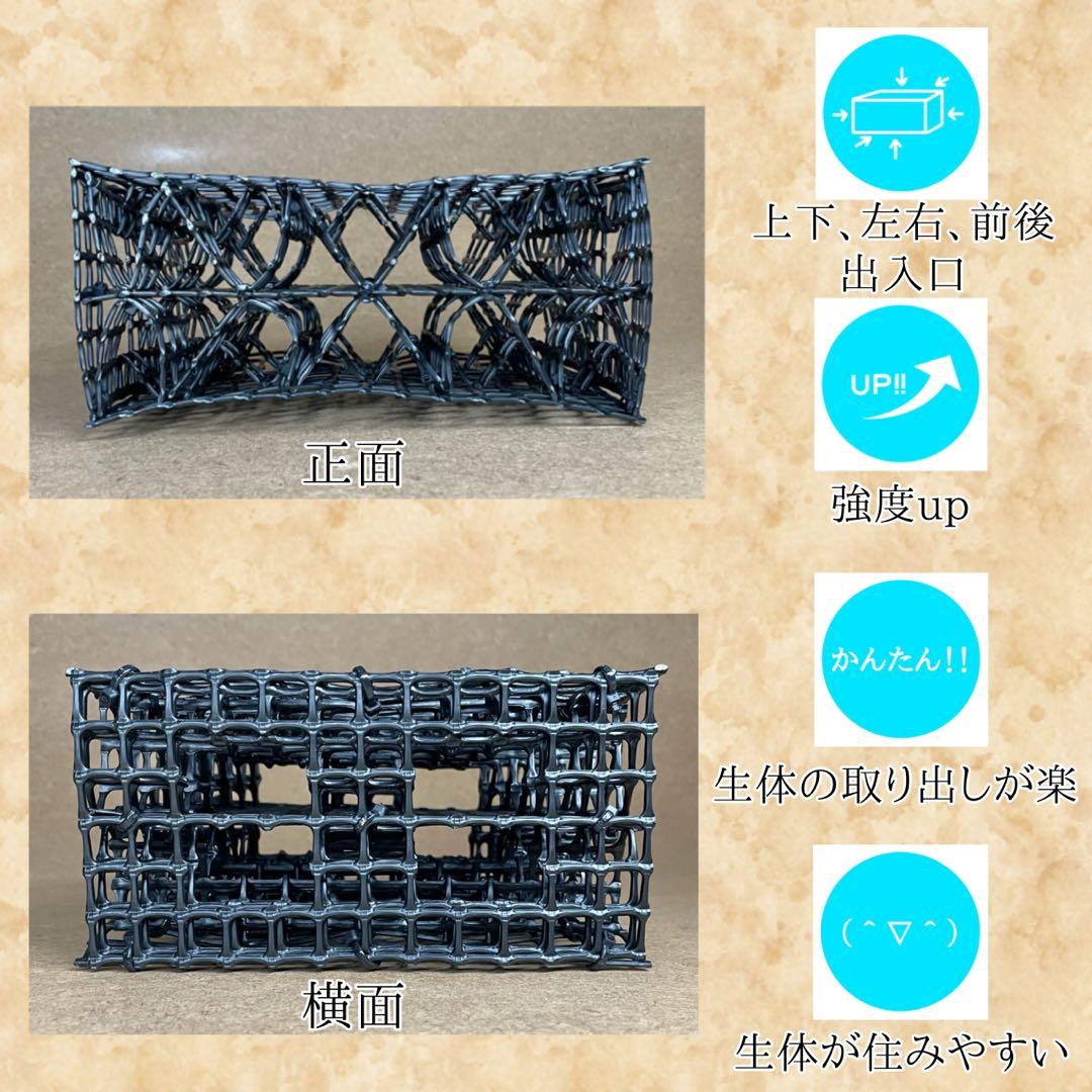 マタレオン様　Ｍ(フル)(レ)