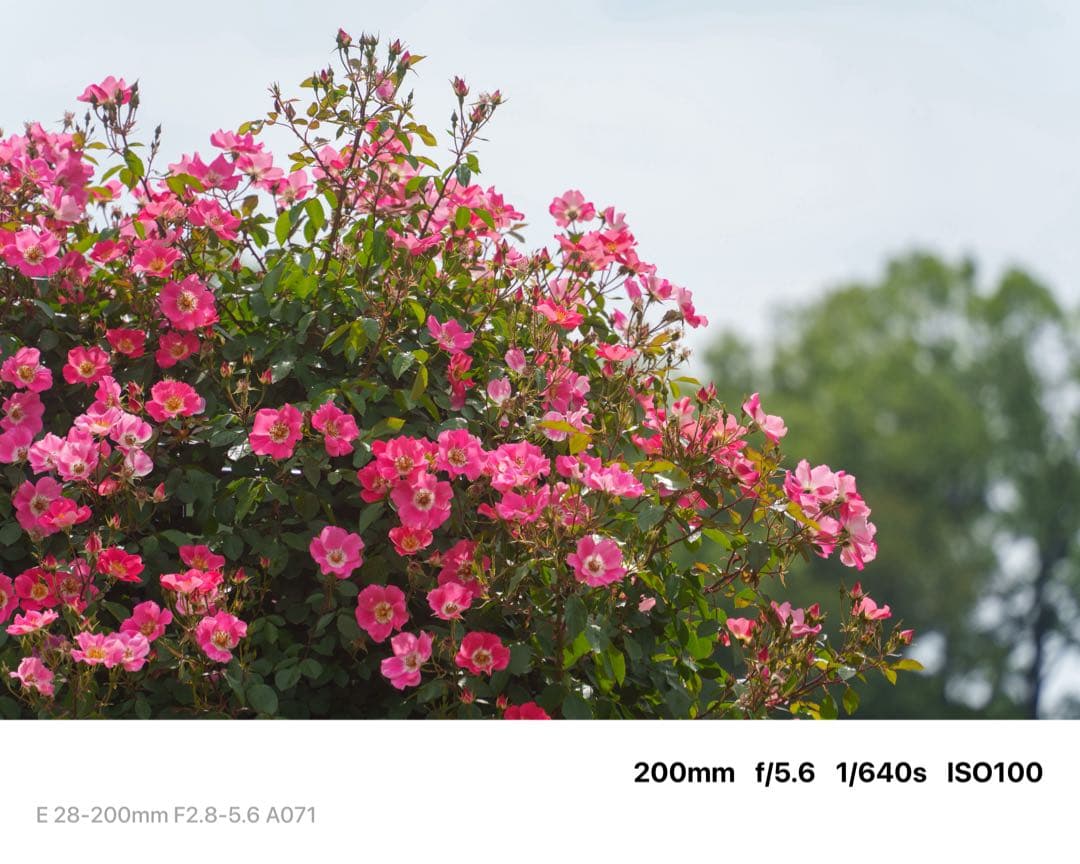 VILTROX AF 40mm f/2.5 Eマウント