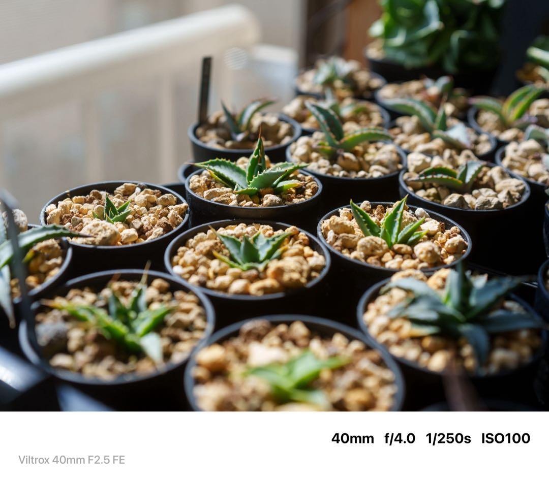 VILTROX AF 40mm f/2.5 Eマウント