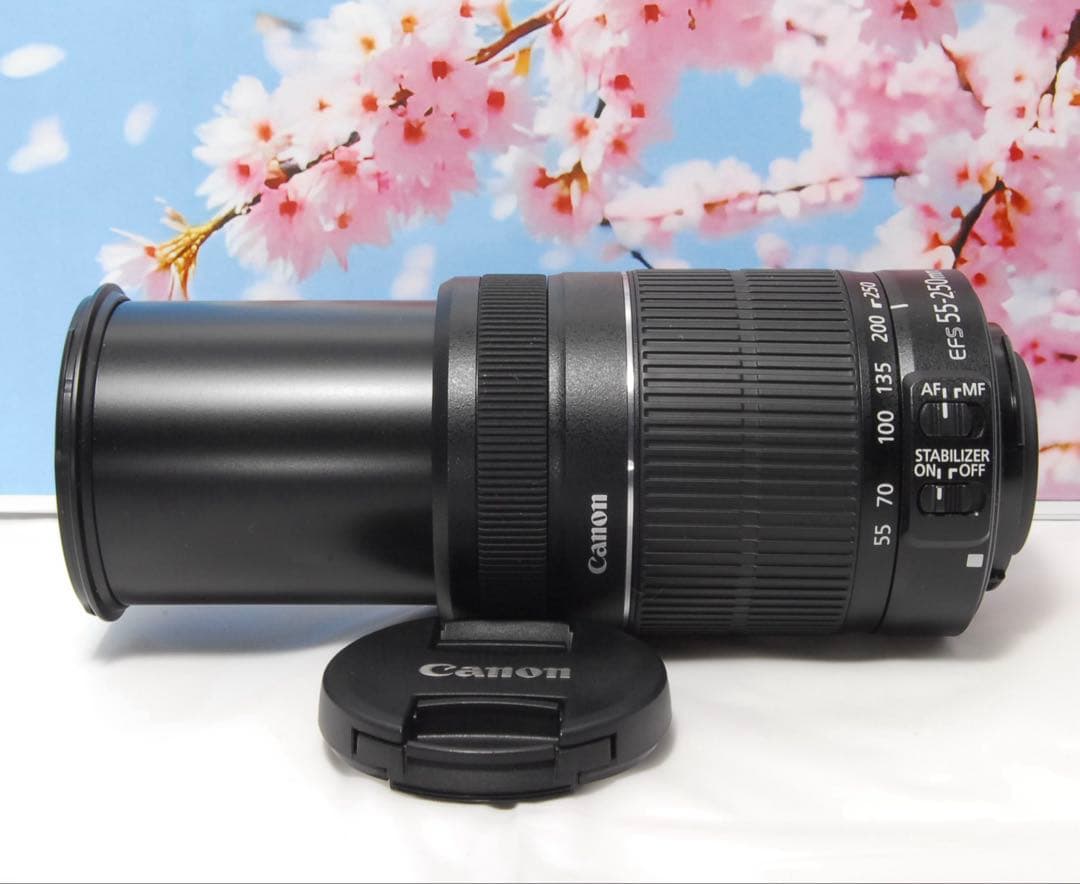 美品⭐️手振補正⭐️Canon EF-S 55-250mm F4-5.6 IS Ⅱ