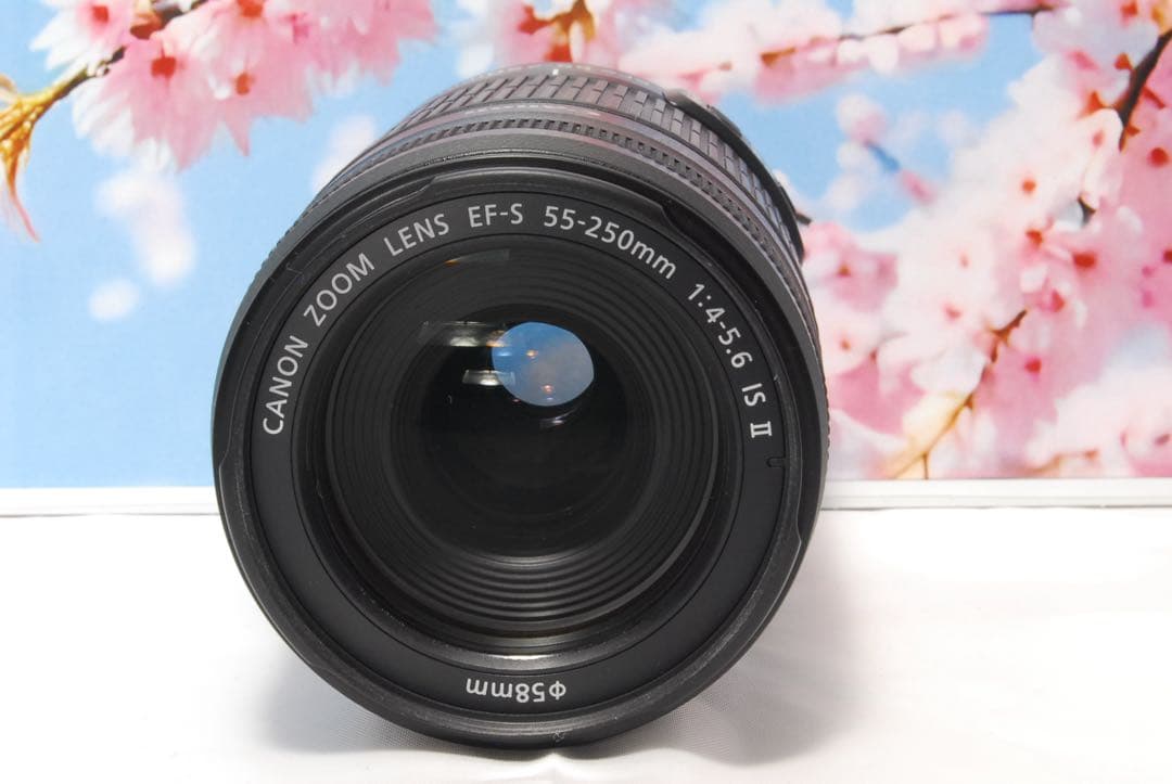 美品⭐️手振補正⭐️Canon EF-S 55-250mm F4-5.6 IS Ⅱ