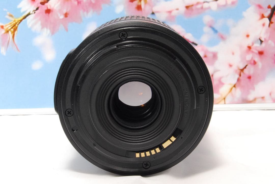 美品⭐️手振補正⭐️Canon EF-S 55-250mm F4-5.6 IS Ⅱ