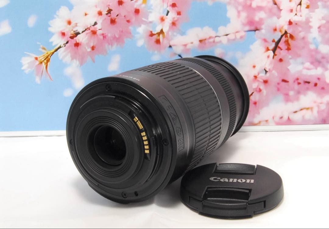 美品⭐️手振補正⭐️Canon EF-S 55-250mm F4-5.6 IS Ⅱ