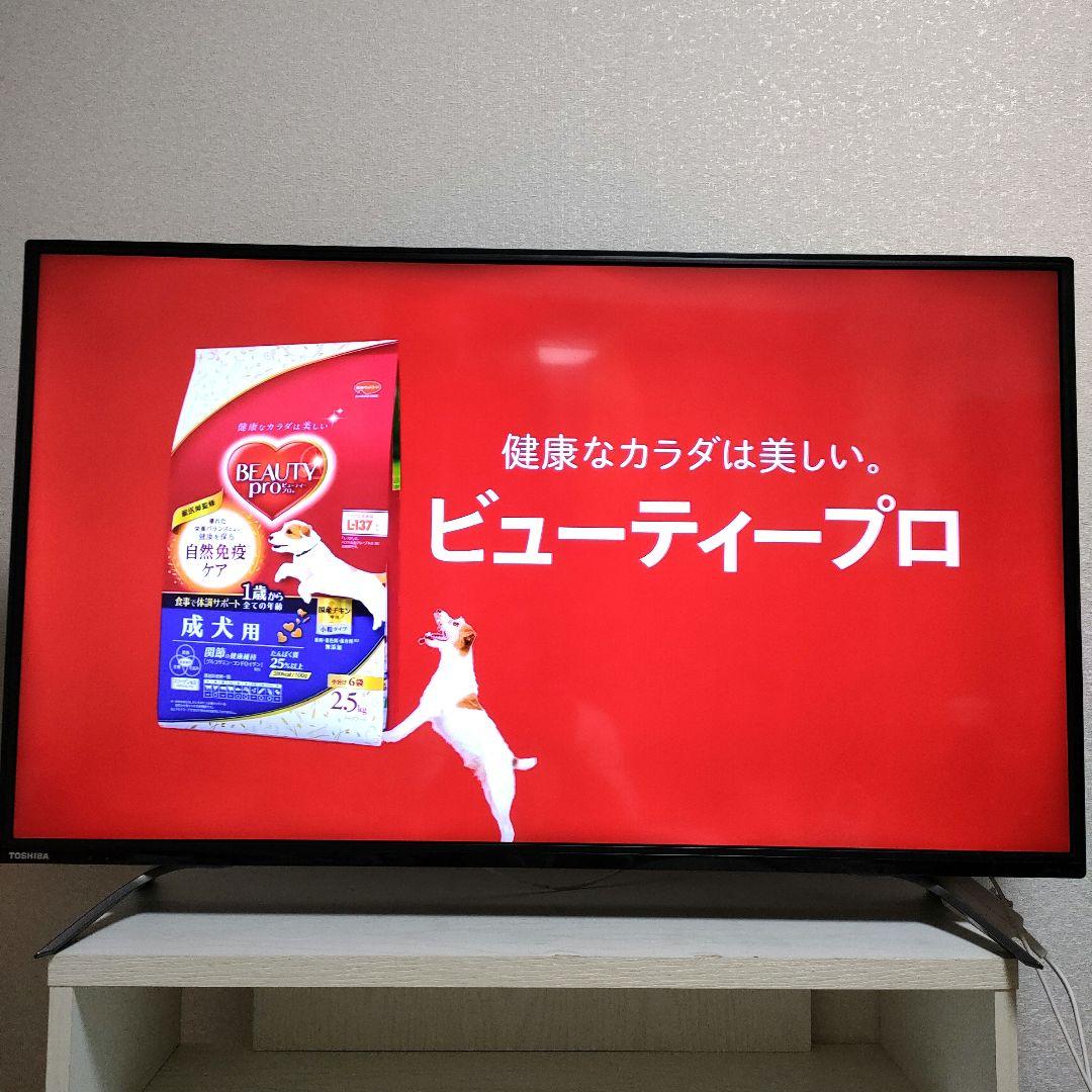 TOSHIBA[2019年製品]43C310X