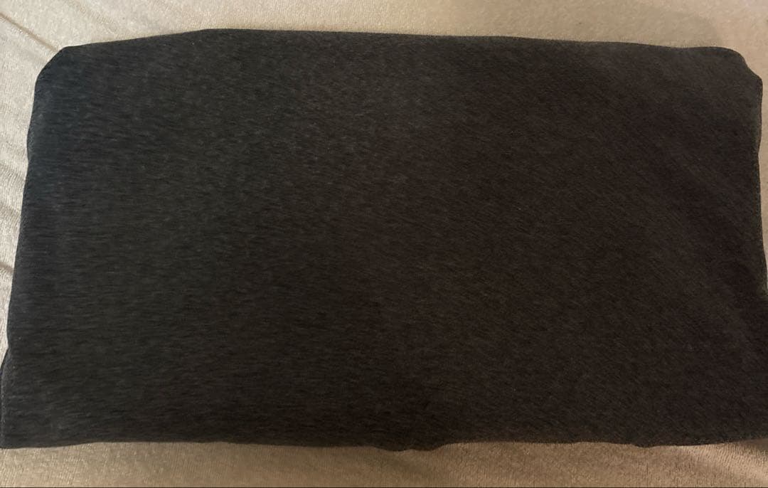 AP STUDIO New Warm Zip Hoodiグレー