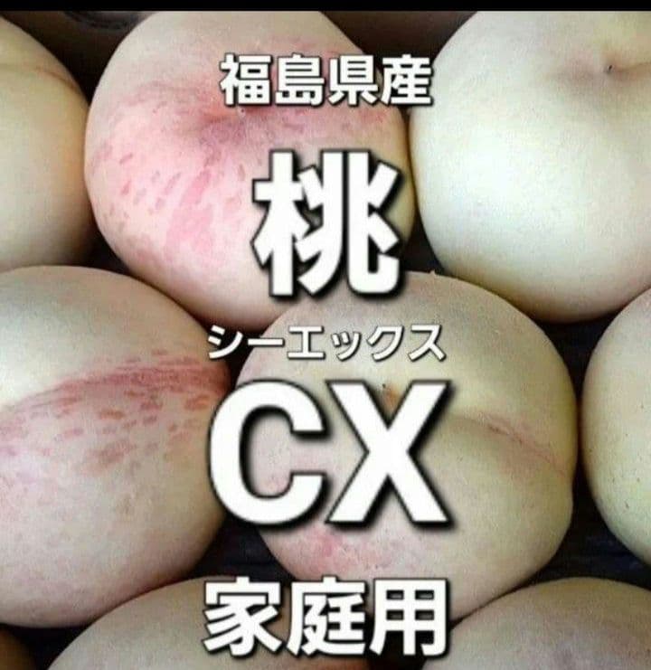 桃　硬め　超希少　CX シーエックス　15玉　福島県産　家庭用