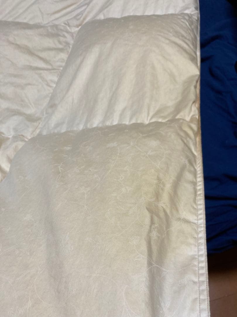 値下げ!【ダウン率95%】クイーンサイズ掛け布団(210×210)