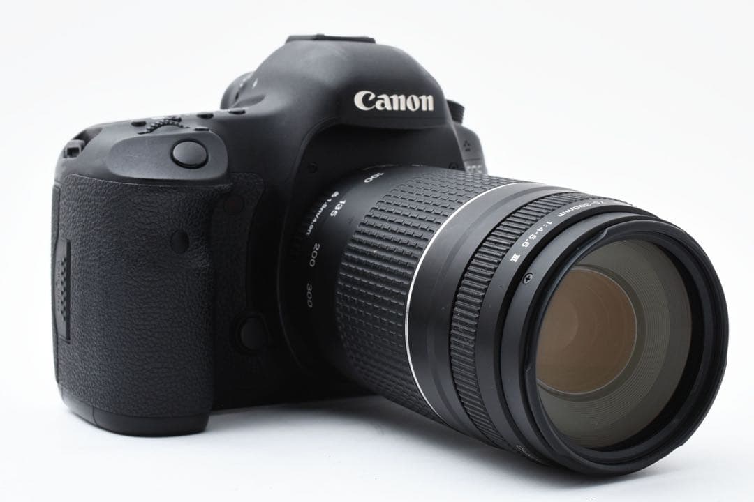 付属品付き/Canon EOS 5D mark III望遠レンズセット