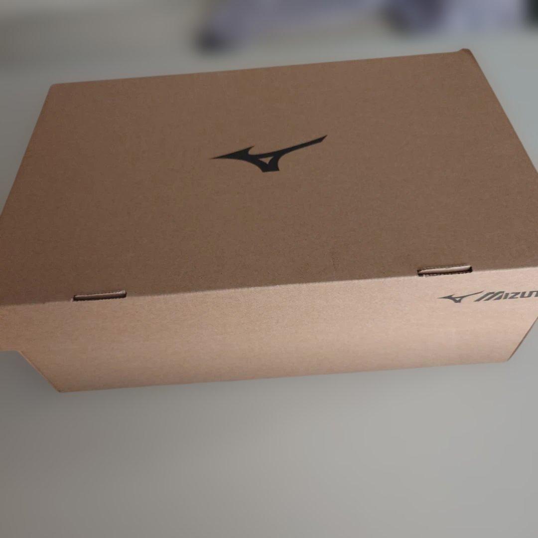 ミズノ安全靴 オールマイティ LSII 22L サイズ26.5　新品未使用