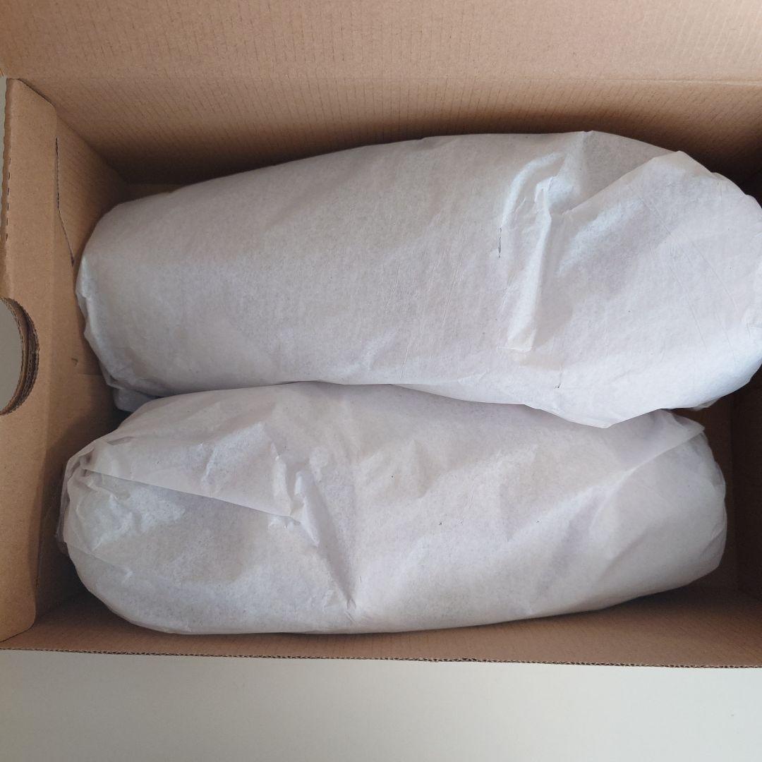 ミズノ安全靴 オールマイティ LSII 22L サイズ26.5　新品未使用