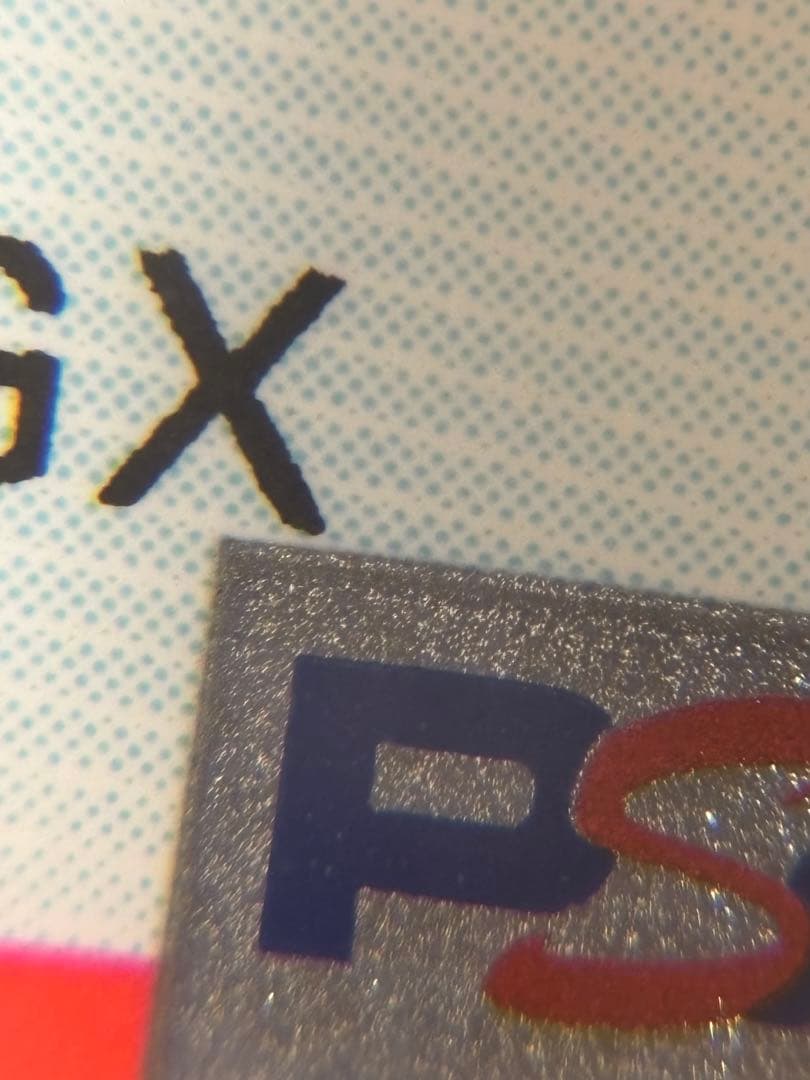 ラニュイ sr　psa10