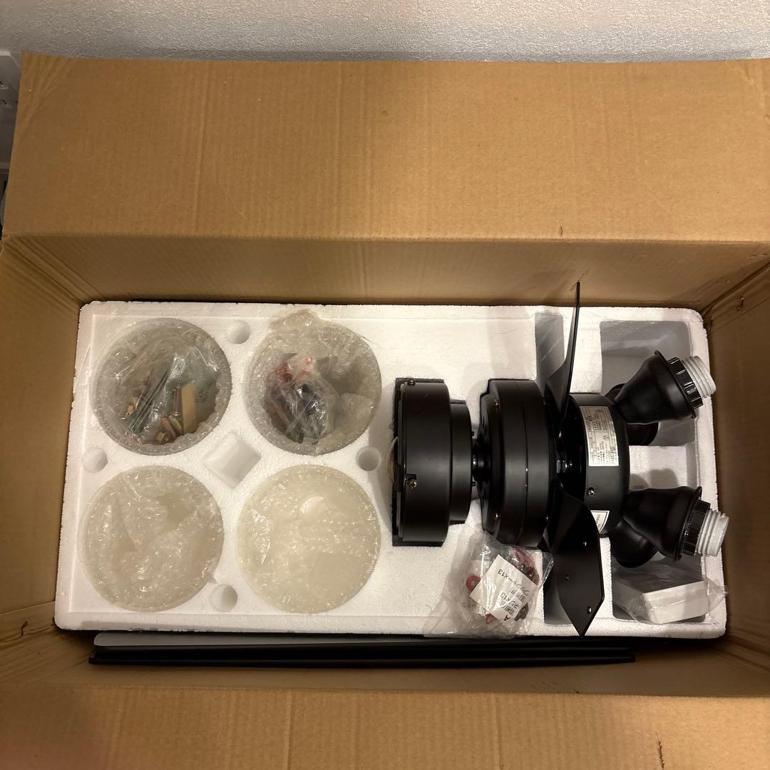 LOWYA Lasvolta 4L シーリングファン ブラック